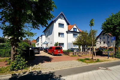 Sanddorn