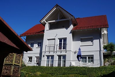 BodenSEE Apartment Tettnang