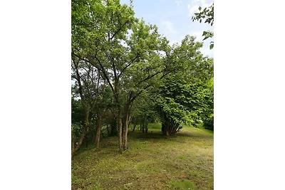 Vakantiehuis Ontspannende vakantie Hamswehrum