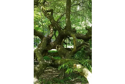 apartman za odmor Obiteljski odmor Bad Freienwalde