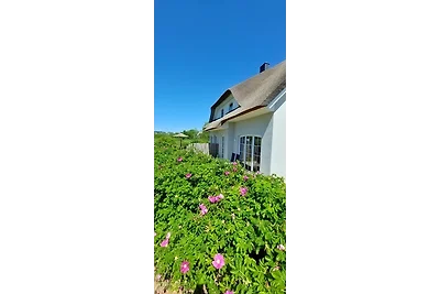 Casa vacanze Vacanza di relax Dassow