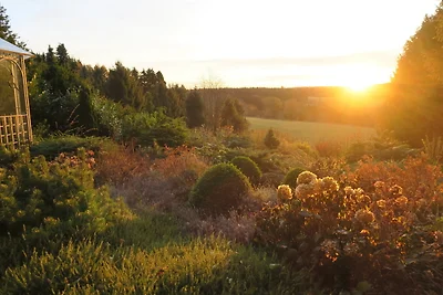Ferienhaus Sonne, Harz und Sterne