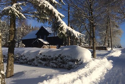 Berghütte Vogtland