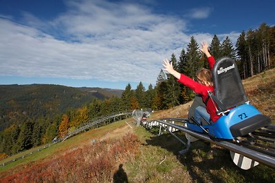 Vakantieappartement Gezinsvakantie Falkau