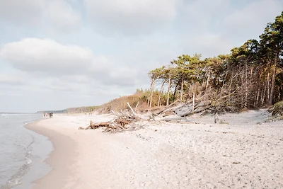 Strandmuschel 5