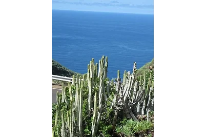 Casa Azotea