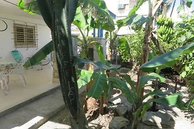 Casa Silvia y Evelio Appartement 1