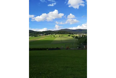 Böhmerwald pur² Ferienwohnung 7