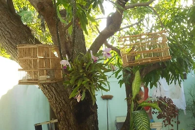 Hostal Brisas Casilda Appartement 1