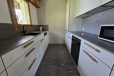 Seewiesenstrasse 1-1