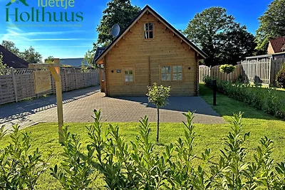 Ferienhaus "luettje Holthuus"