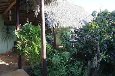 Hostal Las Reinas del Sur