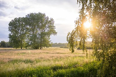 Vakantiehuis Ontspannende vakantie Bleckede