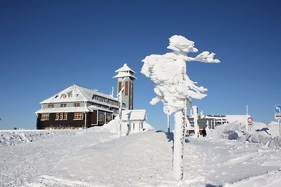 Vakantieappartement Gezinsvakantie Sehmatal