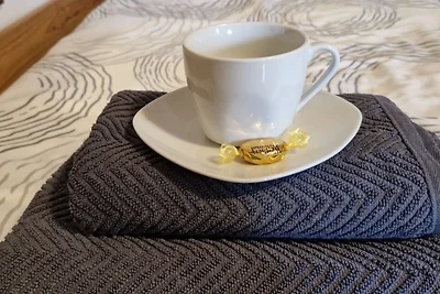 3100: Apartment RATZERSDORFER SEEN