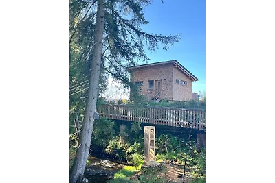 Wald ist Zukunft [Baumhaus Biene]