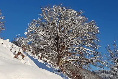 Ferienhaus Rombach Wohnung A