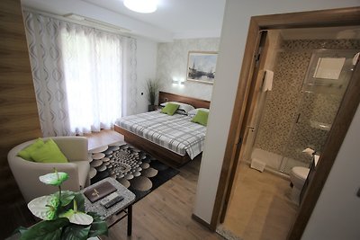 Apartment Silvia