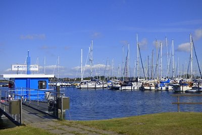 "Strandläufer"/Südstrand 2-110