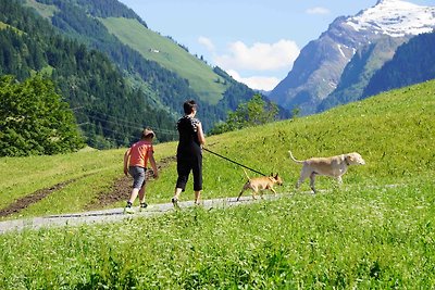 Vakantieappartement Gezinsvakantie Mittersill