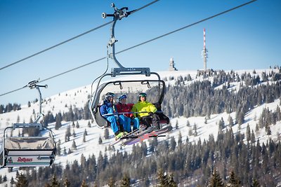 Vakantieappartement Gezinsvakantie Feldberg