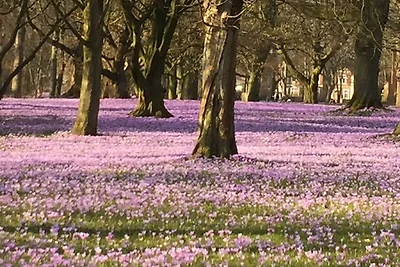 Ferienwohnung Wachter