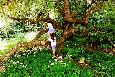 Die Malche Gäste und Tagungshaus