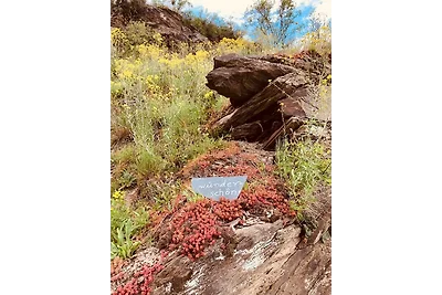 Vakantieappartement Gezinsvakantie Roes