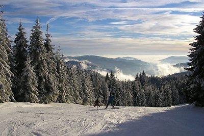 Appartamento Vacanza con famiglia Todtnau