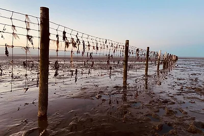 Ferien im Wangerland - Haus