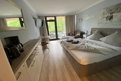 Hahnenklee mit Bergblick 347