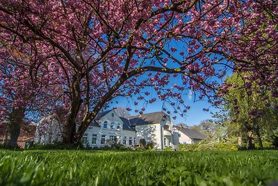 Vakantieappartement Gezinsvakantie Süderbrarup