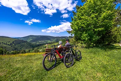 Vakantieappartement Gezinsvakantie Schönau im Schwarzwald