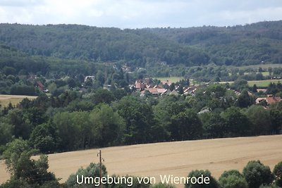 Harzhaus Wienrode Fewo Harzblick