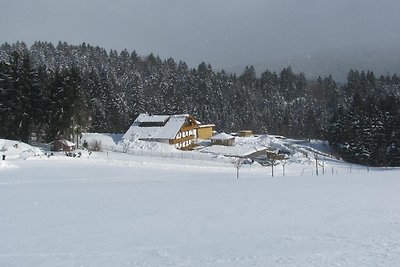 Appartamento Vacanza con famiglia Neureichenau