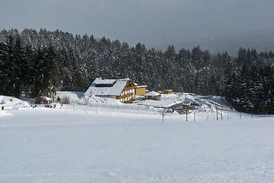 Haus Spannbauer - Wohnung