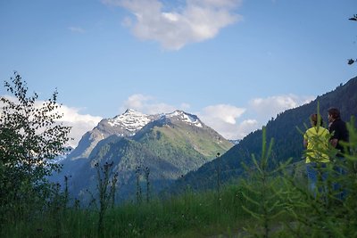 Vakantieappartement Gezinsvakantie Mittersill