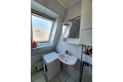 Wombat (1-2 Personen)