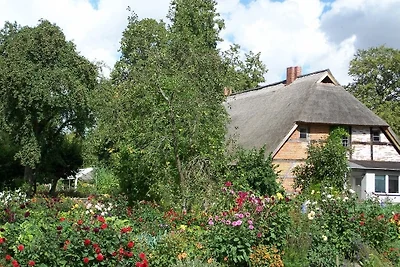 Ferienwohnung Irisgarten am