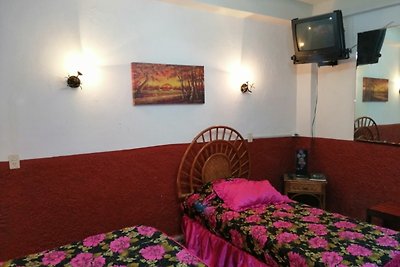 GreenHome Appartement 2