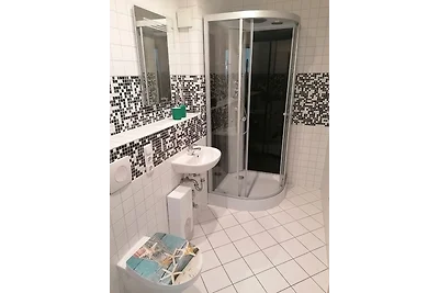 Möwe am Strand - ABC58