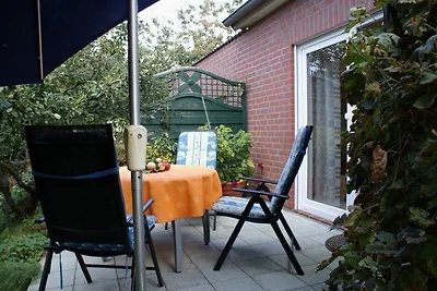 Kastanienallee - ABC66