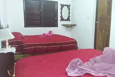 CASA YAMILE SELVA Appartement 2