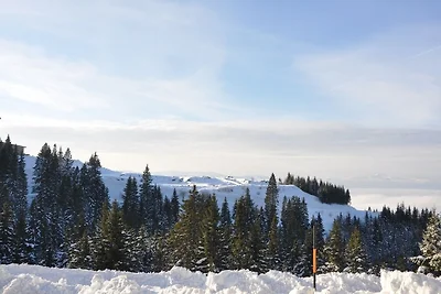 Almliebe-Feriendorf Koralpe
