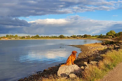 Ferienwohnung Bambuswald Ferienhof