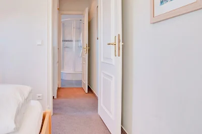 Strandflieder, App. 16