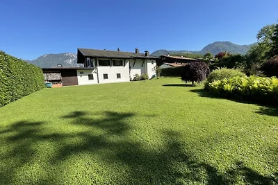 Viola in Haus Admont