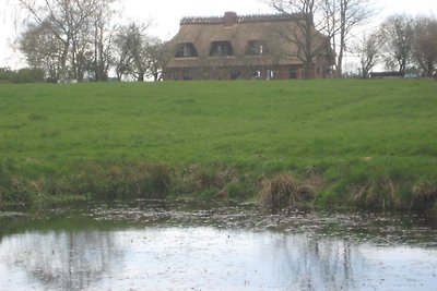 Ferienhaus von der Ahe