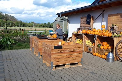 Vakantieappartement Gezinsvakantie Sinzig