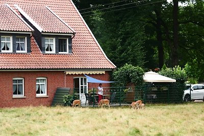 Ferienhaus "Zur Alten Fähre"